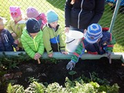 Sklízíme úrodu na školní zahrádce